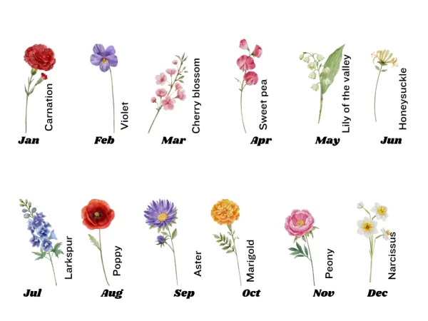 Birth Month Flower Mug